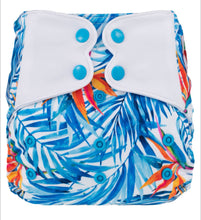 Load image into Gallery viewer, Elf Diaper Butterfly Tabs pocket, Strelitzia
