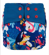 Load image into Gallery viewer, Lichtbaby pocket, Tropical Birds. Includes 1 bamboo terry insert