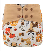 Load image into Gallery viewer, Lichtbaby pocket, Autumn Forest. Includes 1 bamboo terry insert
